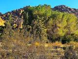 66058 Foothill Drive - Photo 10