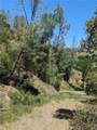20325 Morgan Valley Road - Photo 13
