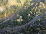 20325 Morgan Valley Road - Photo 8