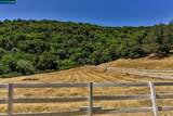 5433 Alhambra Valley Rd - Photo 45
