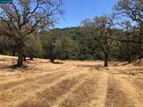 5433 Alhambra Valley Rd - Photo 58