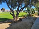 32700 San Miguelito Drive - Photo 16
