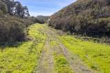 8282 Monterra Ranch (Lot 44) - Photo 10