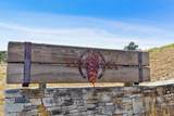 8425 Alta Tierra (Lot 66) - Photo 23
