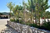 76980 San Antonio Road - Photo 41