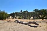 76980 San Antonio Road - Photo 49
