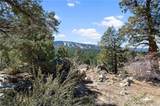 42565 Pegasus Way - Photo 3