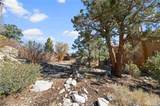 42565 Pegasus Way - Photo 4