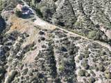 31557 Ahern Ranch Rd - Photo 11