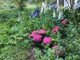 368 Ridge Road - Photo 44