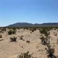 1234 El Paseo - Photo 3