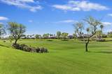 359 Desert Holly Drive - Photo 34