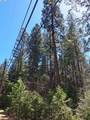  Sly Park - Photo 13