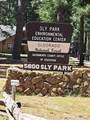  Sly Park - Photo 8