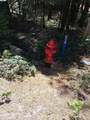 Sly Park - Photo 9