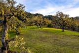 14 Vasquez Trail (Lot 181) - Photo 9