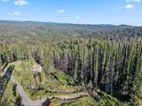 1410 Pinecrest Drive - Photo 4