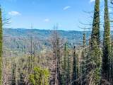 1410 Pinecrest Drive - Photo 7