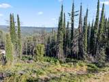 1410 Pinecrest Drive - Photo 8
