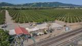 275 Bolsa Road - Photo 27