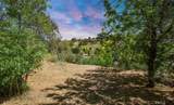 0 Las Palomas Drive - Photo 10