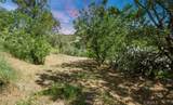 0 Las Palomas Drive - Photo 11
