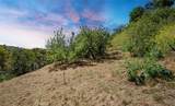 0 Las Palomas Drive - Photo 13