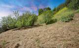 0 Las Palomas Drive - Photo 14