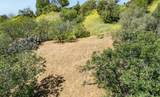 0 Las Palomas Drive - Photo 18