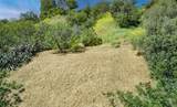 0 Las Palomas Drive - Photo 19