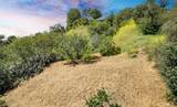 0 Las Palomas Drive - Photo 28