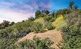 0 Las Palomas Drive - Photo 29