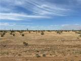 0 Cassia - Photo 5