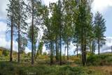 4023 Kakini Road - Photo 22