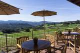 8375 Monterra Views (Lot 155) - Photo 10