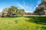 8375 Monterra Views (Lot 155) - Photo 4