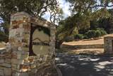 8375 Monterra Views (Lot 155) - Photo 7