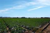 1680 Los Berros Road - Photo 28