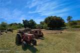 1680 Los Berros Road - Photo 32