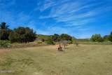 1680 Los Berros Road - Photo 34
