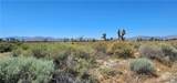 0 Palmdale Boulevard - Photo 10