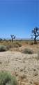 0 Palmdale Boulevard - Photo 5