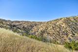 14600 Del Puerto Canyon Road - Photo 12