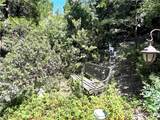 329 Grass Valley Road - Photo 26