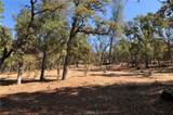205 Cynthiann Lane - Photo 10