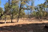 205 Cynthiann Lane - Photo 12