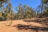 205 Cynthiann Lane - Photo 13