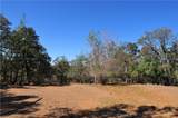 205 Cynthiann Lane - Photo 15