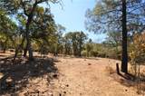 205 Cynthiann Lane - Photo 3