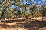 205 Cynthiann Lane - Photo 8